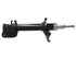 Front Right Shock Absorber Tata Indica 1.4 (2005-2015)(W/O ABS, NOT VISTA) - MAP-100147