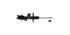Front Right Shock Absorber Nissan Juke 2011–2020 (SF6023T)