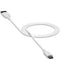 mophie-Essentials-Cable-USBA-USBC-2 meter-White