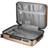 Travelwize Luggage Travelwize Maui ABS 4-Wheel Spinner 65cm Luggage - Champ