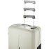 Travelwize Travelwize Clipper PP 55cm 4-Wheel Spinner Luggage Beige
