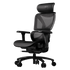 Thunderx3 XTC PRO Ergonomic Chair - Mesh Black (TEGC-3091101.11).