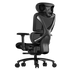 Thunderx3 XTC PRO Ergonomic Chair - Mesh Black (TEGC-3091101.11).